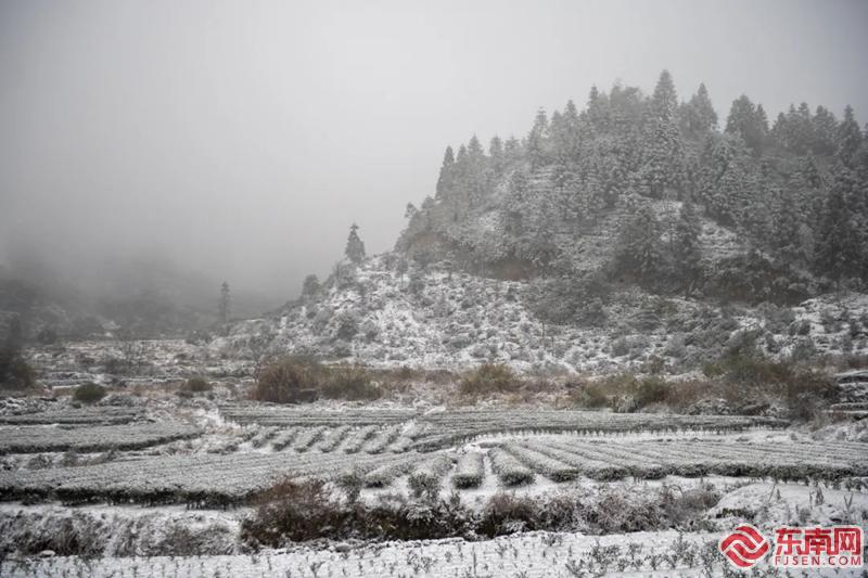 最強寒潮帶來閩北山區絕美雪景