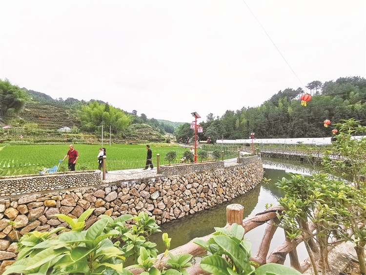 宁德坝头村驻村第一书记郭梅峰:俯下身子驻村 沉下心来帮扶