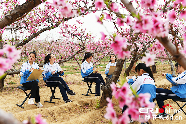 【供稿待审】深州市15万亩桃林桃花盛开成为市职业学校学生户外写生的好去处（江山专题 实时报道）
