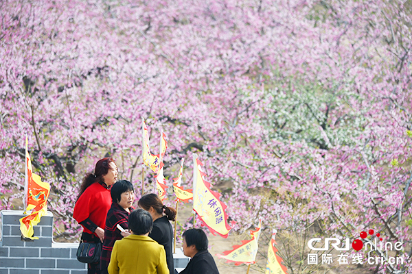 【供稿待审】深州市15万亩桃林桃花盛开成为市职业学校学生户外写生的好去处（江山专题 实时报道）