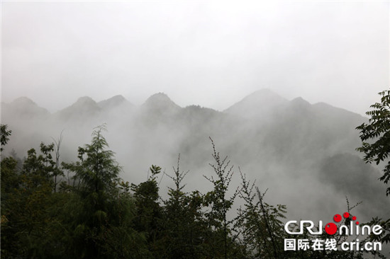 已過審【行遊巴渝　標題摘要】重慶巫山縣全域各旅遊景區雲霧繚繞似仙境