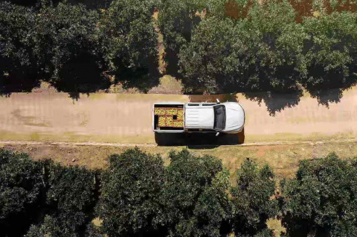 脱贫攻坚 有风骏5为你加速