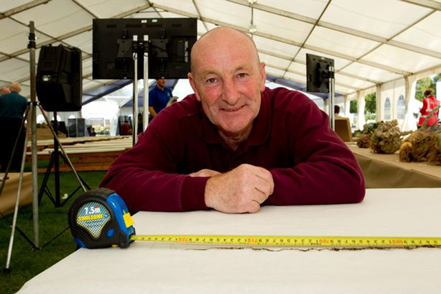 英国老爷爷种出近8米长巨型蔬菜 打破世界纪录