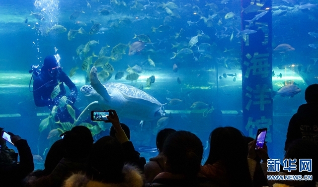 洛陽：海洋館裏迎新年