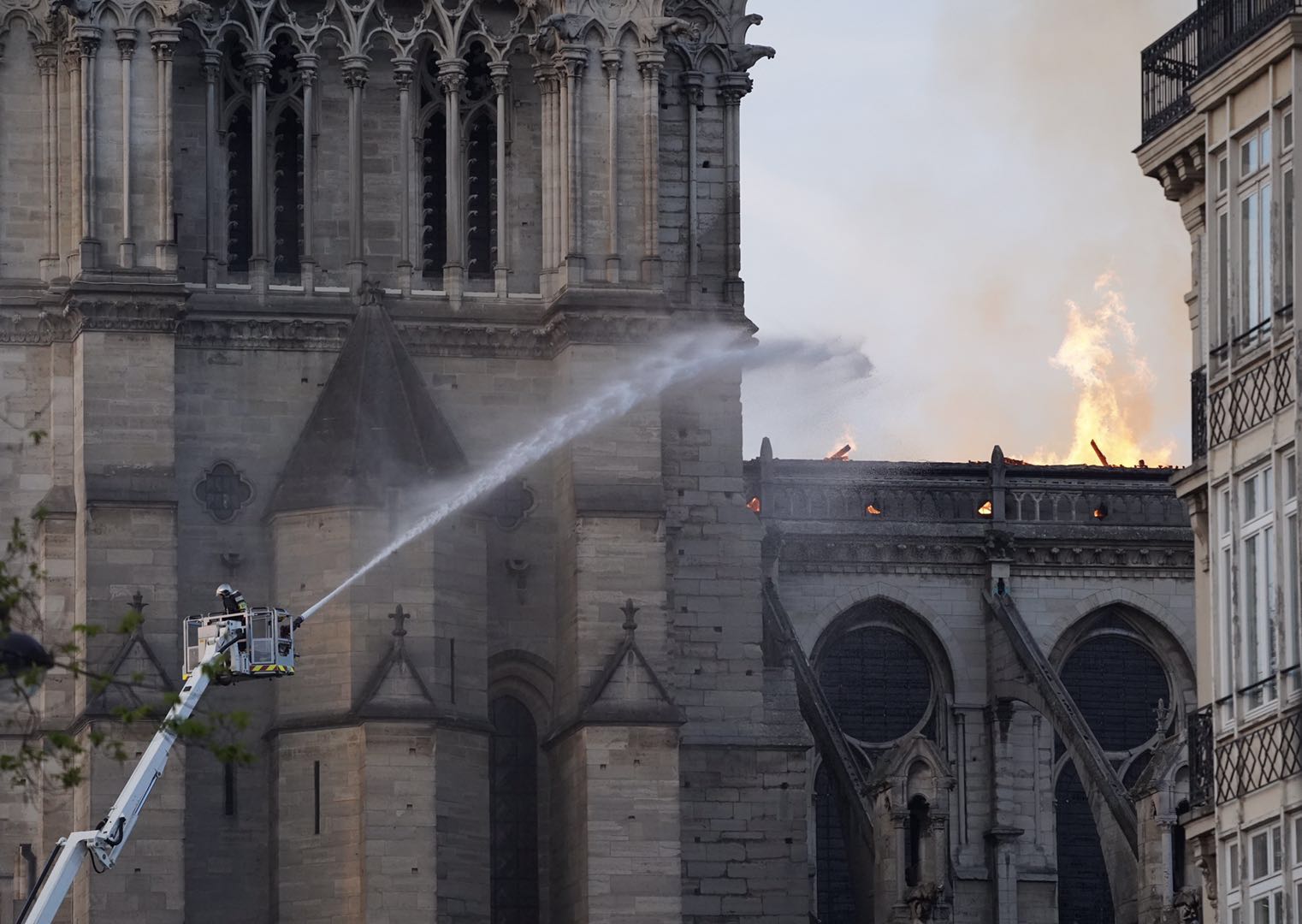 3年过去了，被大火烧毁的巴黎圣母院修复得怎样了？_工作_时间_橡树