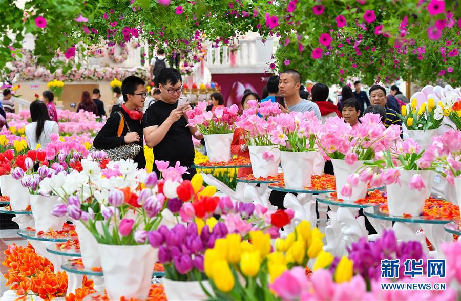 广州春节7天接待市民游客1696万人次