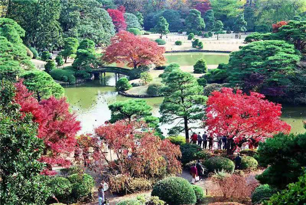 東京六義園：一所歷史悠久的日本庭園