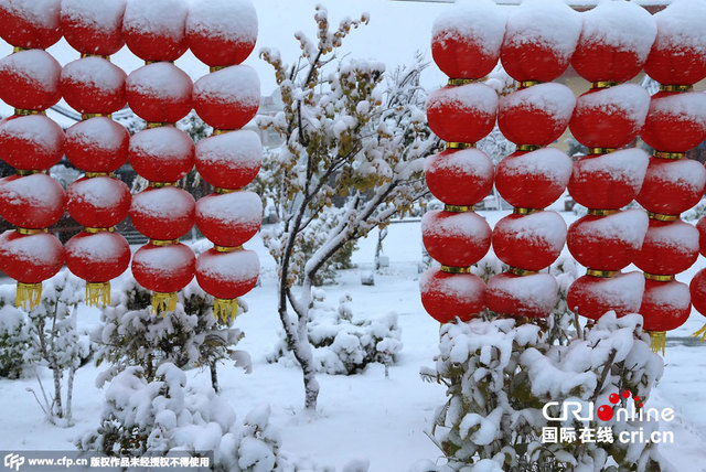 新疆哈密金秋降大雪 树木被大雪压断