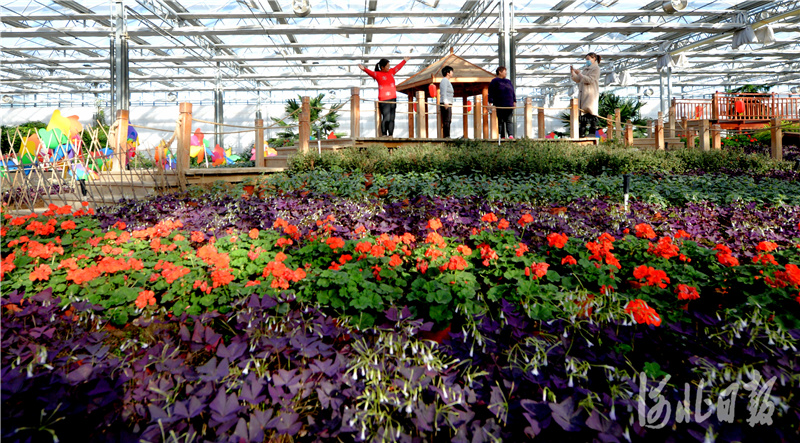 河北邢台：农旅融合促农村“美丽经济”