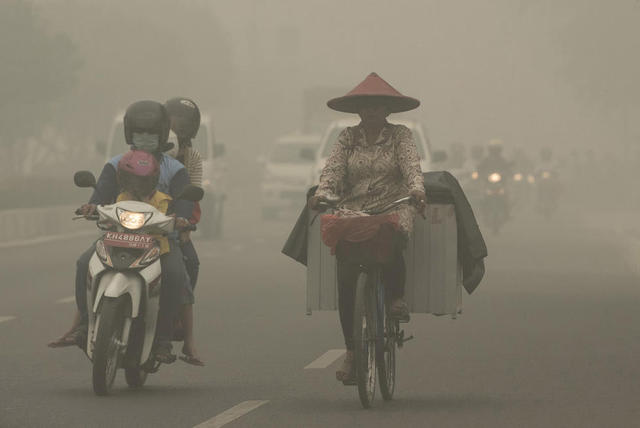 東南亞國家陷入霧霾危機