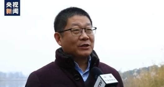 渔民上岸 江豚“回家” 从“微笑精灵”看长江生态兴衰