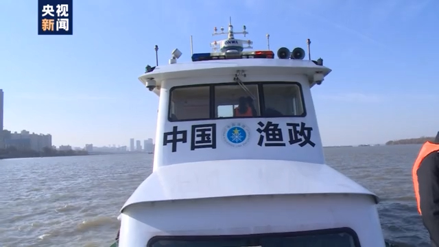 渔民上岸 江豚“回家” 从“微笑精灵”看长江生态兴衰