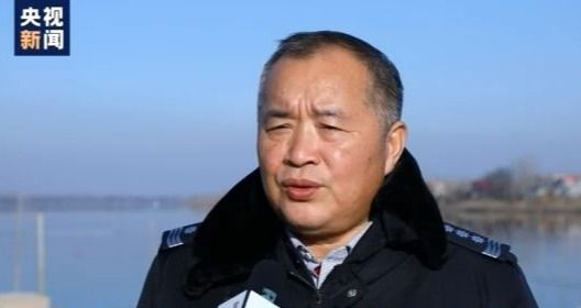 渔民上岸 江豚“回家” 从“微笑精灵”看长江生态兴衰