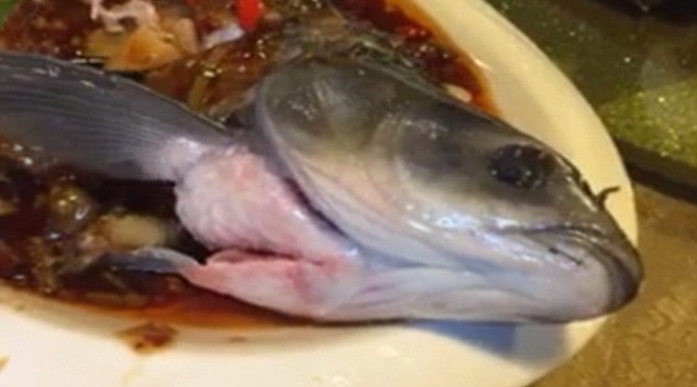 外媒曝光廣州餐館“僵屍魚” 被煮熟後仍在盤中抽搐蠕動