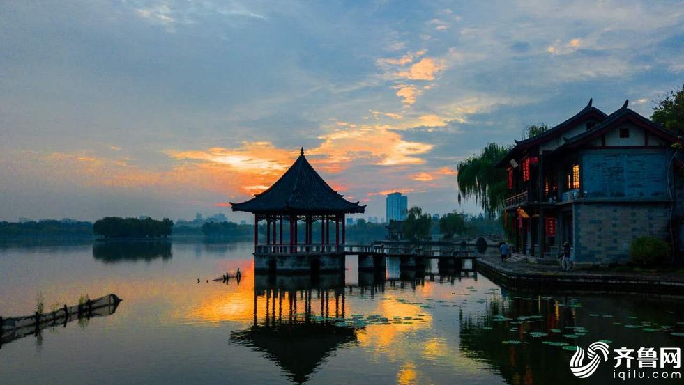 济南大明湖岸边杨柳荫浓 湖中荷花满塘_fororder_1