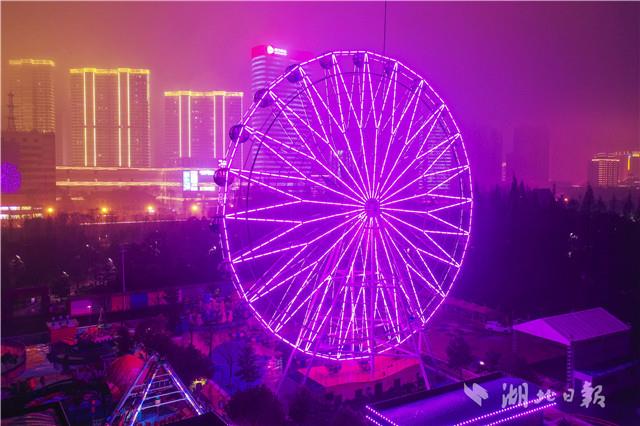 武汉和平公园魔幻璀璨灯海艺术节开幕