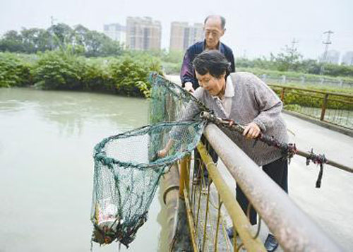 成都退休夫妇八年如一日河边捞垃圾