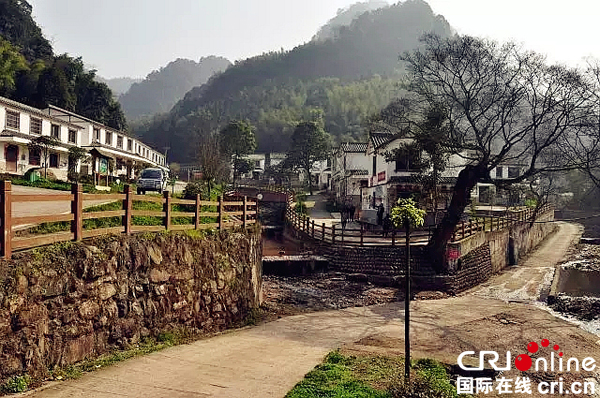 雅安雨城区观化乡麻柳村:一个"飞地"贫困村的变迁
