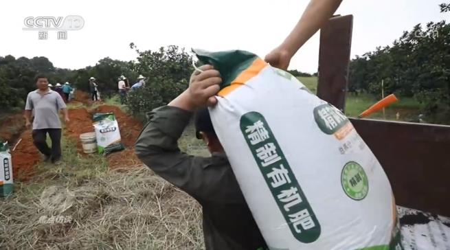 焦點訪談丨如何解決這道耕地難題?看看他們的做法