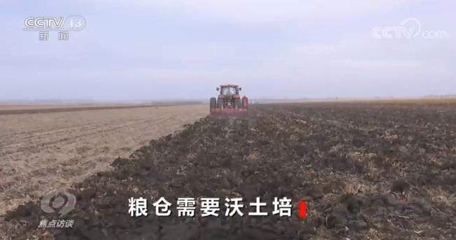 焦點訪談丨如何解決這道耕地難題?看看他們的做法