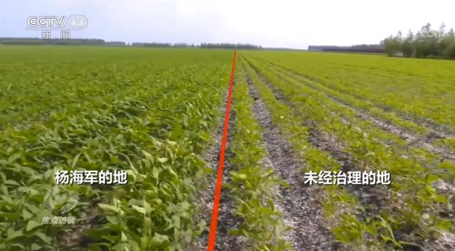 焦點訪談丨如何解決這道耕地難題?看看他們的做法