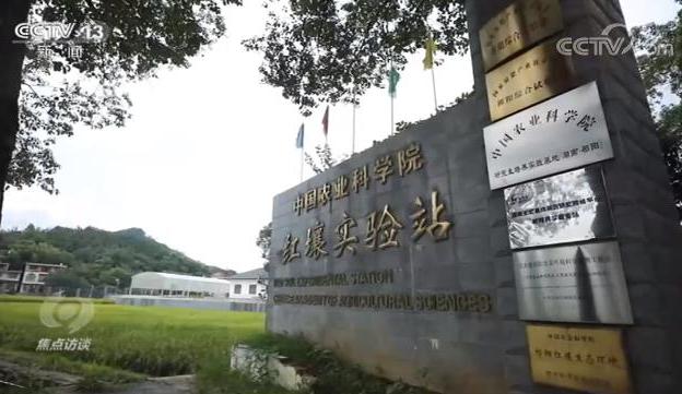 焦點訪談丨如何解決這道耕地難題?看看他們的做法