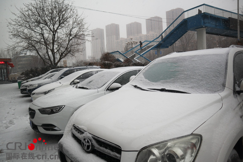 立春後瀋陽迎來首場降雪