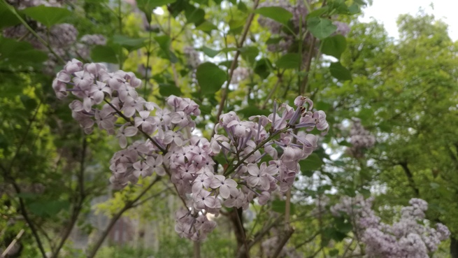 图片默认标题_fororder_1399941795