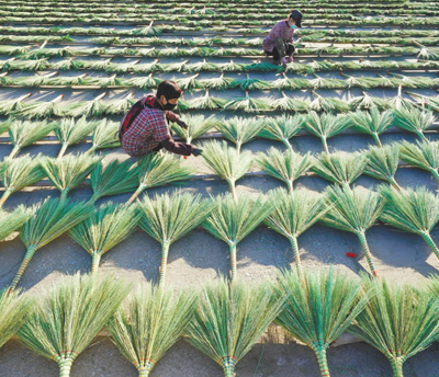 笤帚出口 农民增收