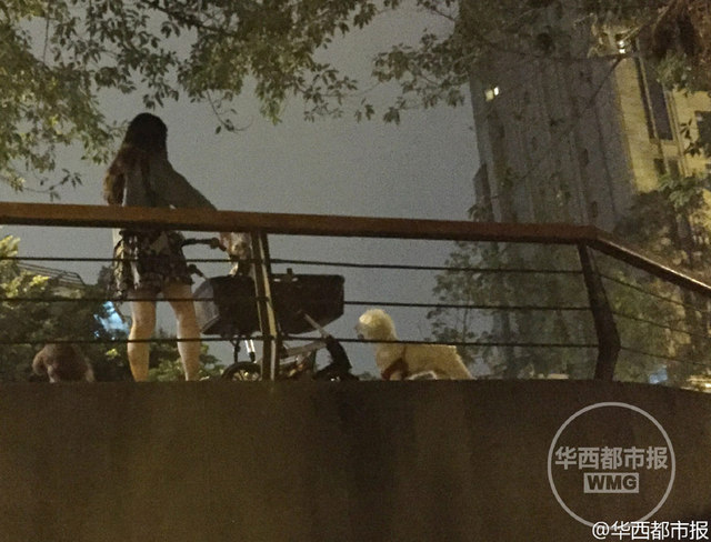 年轻女子推婴儿车遛狗引围观