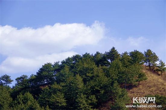 圖片默認標題_fororder_00302407508_1612dd8f