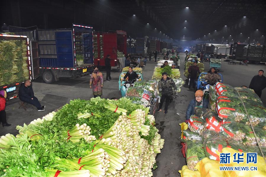 4月12日清晨,寿光农产品物流园内,一辆辆满载着蔬菜的人力三轮车,农用