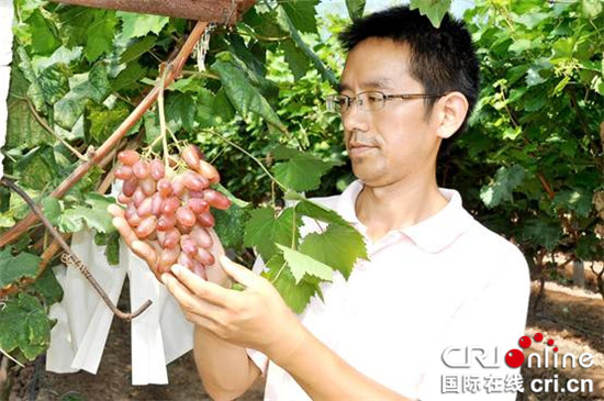 已过审【财经渝企＋摘要】谭小俊：生产绿色食品才能赢得市场