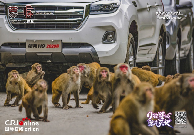 汽车频道【资讯】奋六载余烈 展越野豪情 哈弗H9轰九大队第六届年度梦想盛会圆满落幕