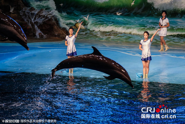 朝鲜神秘海豚馆曝光 “美人鱼”与海豚共舞