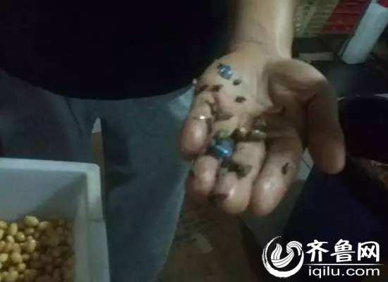 济南餐厅用掺老鼠屎黄豆做咸菜 老板称其系中药 济南餐厅用掺老鼠屎黄豆做咸菜 老板称其系中药