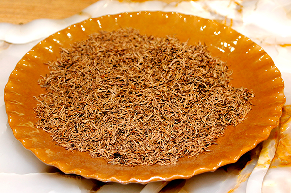 中国川红博物馆开馆一周年纪念暨筠连茶业公司成立仪式举行_fororder_筠连红茶-摄影-高学兵5