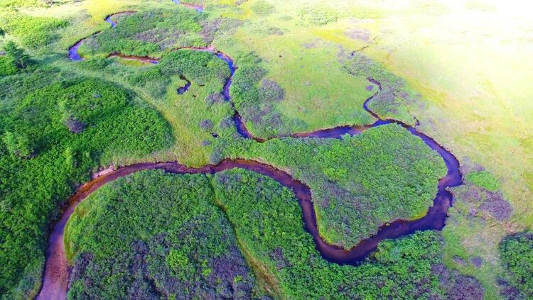 陕西秦岭林区又新增一处国家湿地公园