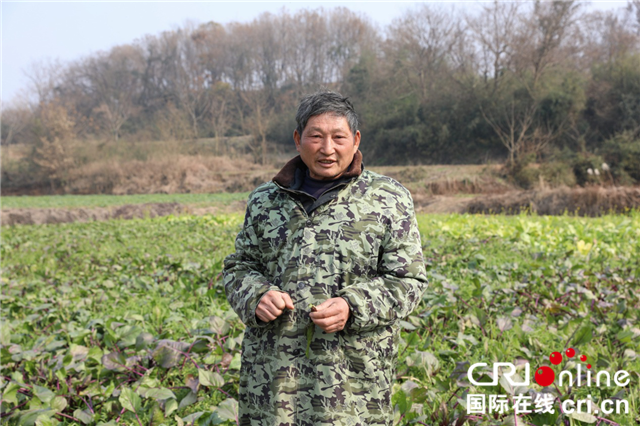 【脱贫户的新年愿望】荆门东宝区红庙村村民陶永富:扩大散养土鸡规模