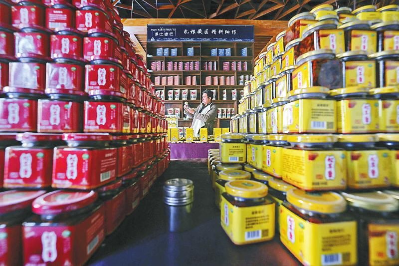 （转载）小菌菇敲开致富门——贡嘎山下松茸村的大产业