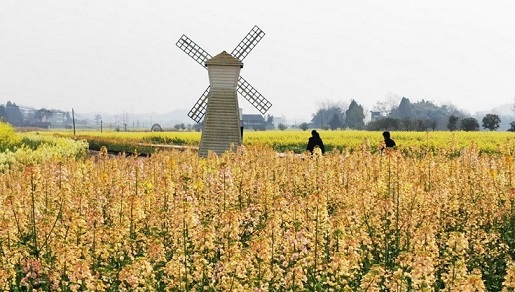 重庆潼南陈抟故里·崇龛花海景区3月6日开园