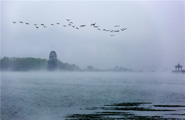 （有修改）让湿地成为人民群众共享的绿意空间 富平石川河国家湿地公园通过国家验收