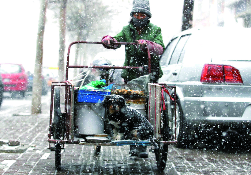 長春：飛雪 “戰” 驚蟄