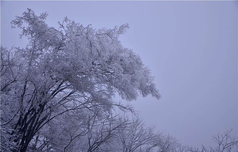 【B】雪后龟峰山 美景更娇艳（组图）_fororder_冬日雾淞美景   摄影余淑荷