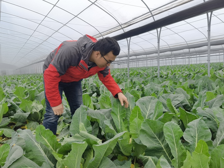 貴州氣象戰貧的新店印記