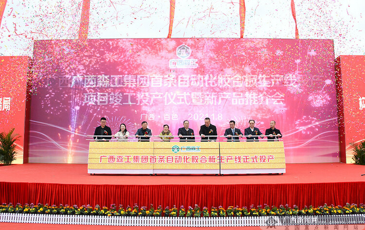 中国首条自动化胶合板生产线在广西百色竣工投产