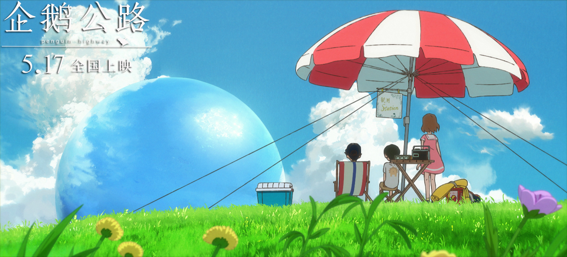 《企鹅公路》定档5·17 呆萌企鹅唤醒青春悸动