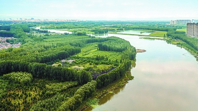北京將增百萬畝“無界森林”