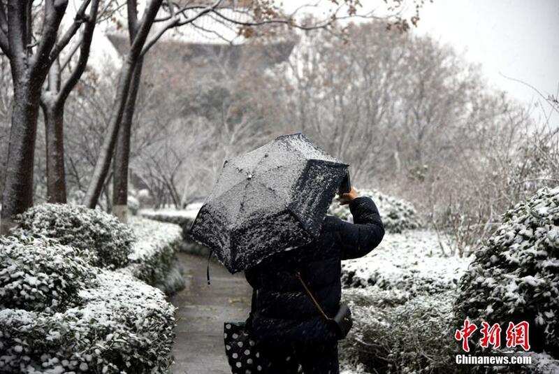 图片默认标题_fororder_3