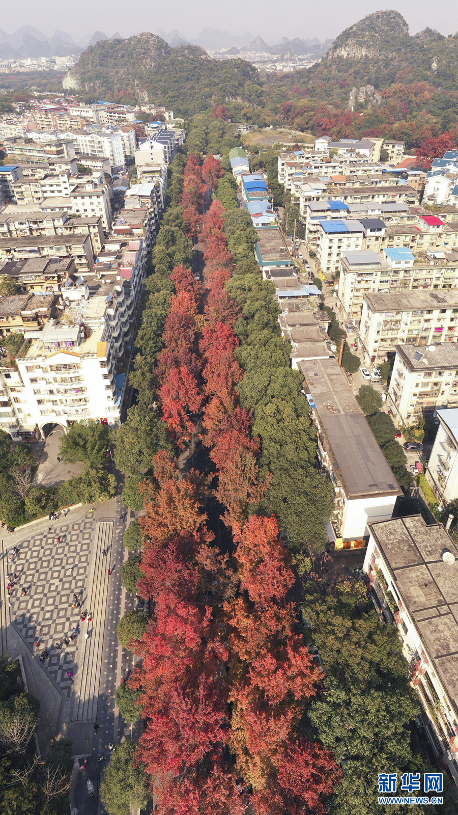 桂林網紅楓葉打卡點，你知道幾個？